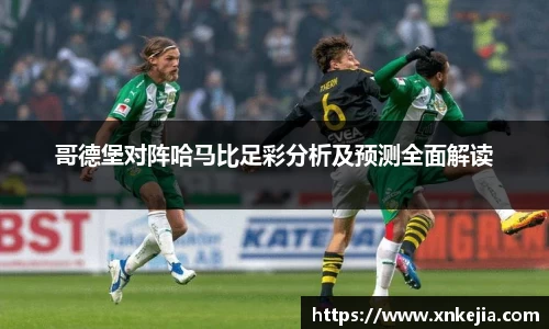 哥德堡对阵哈马比足彩分析及预测全面解读